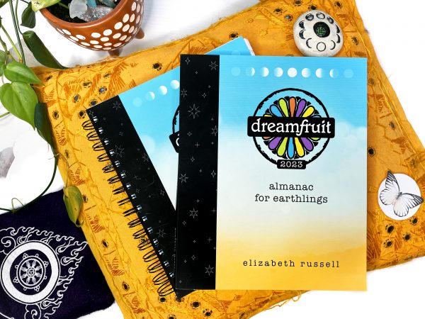 Dreamfruit lunar planner and guided journal